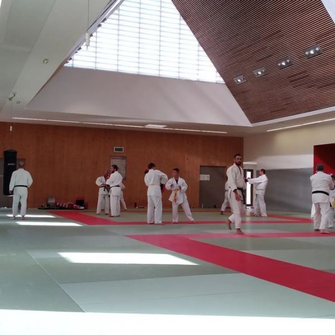 Image de l'actu 'Jujitsu'